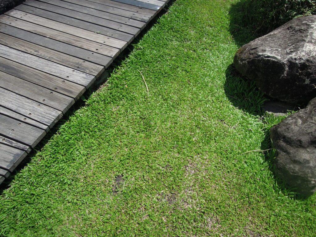 jardin desigual
