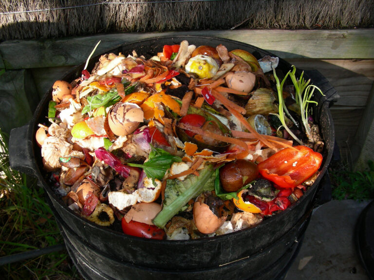 ¿Cómo hacer compost de los restos de comida? - Mi Jardín